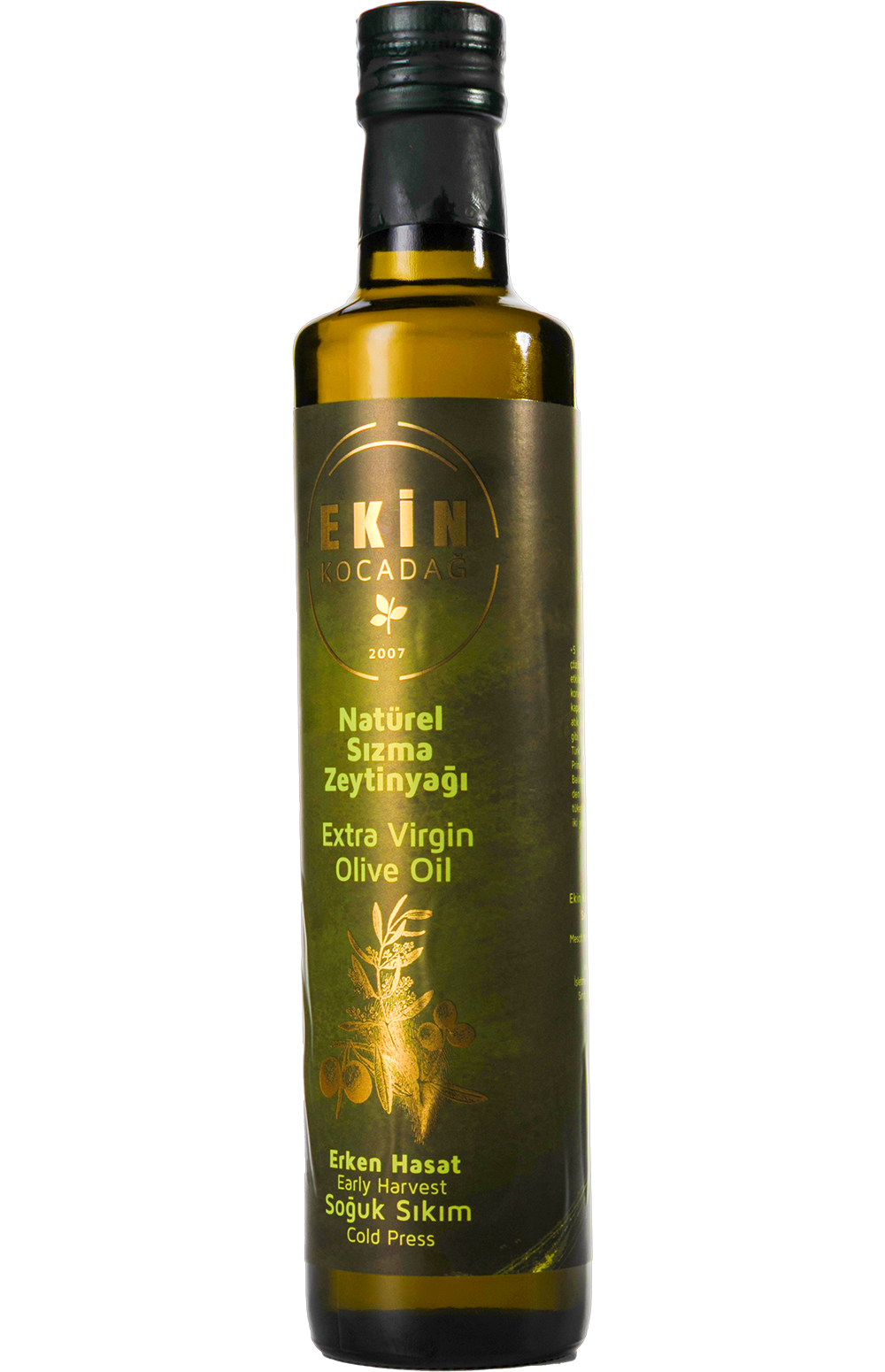Ekin Kocadağ - Gold