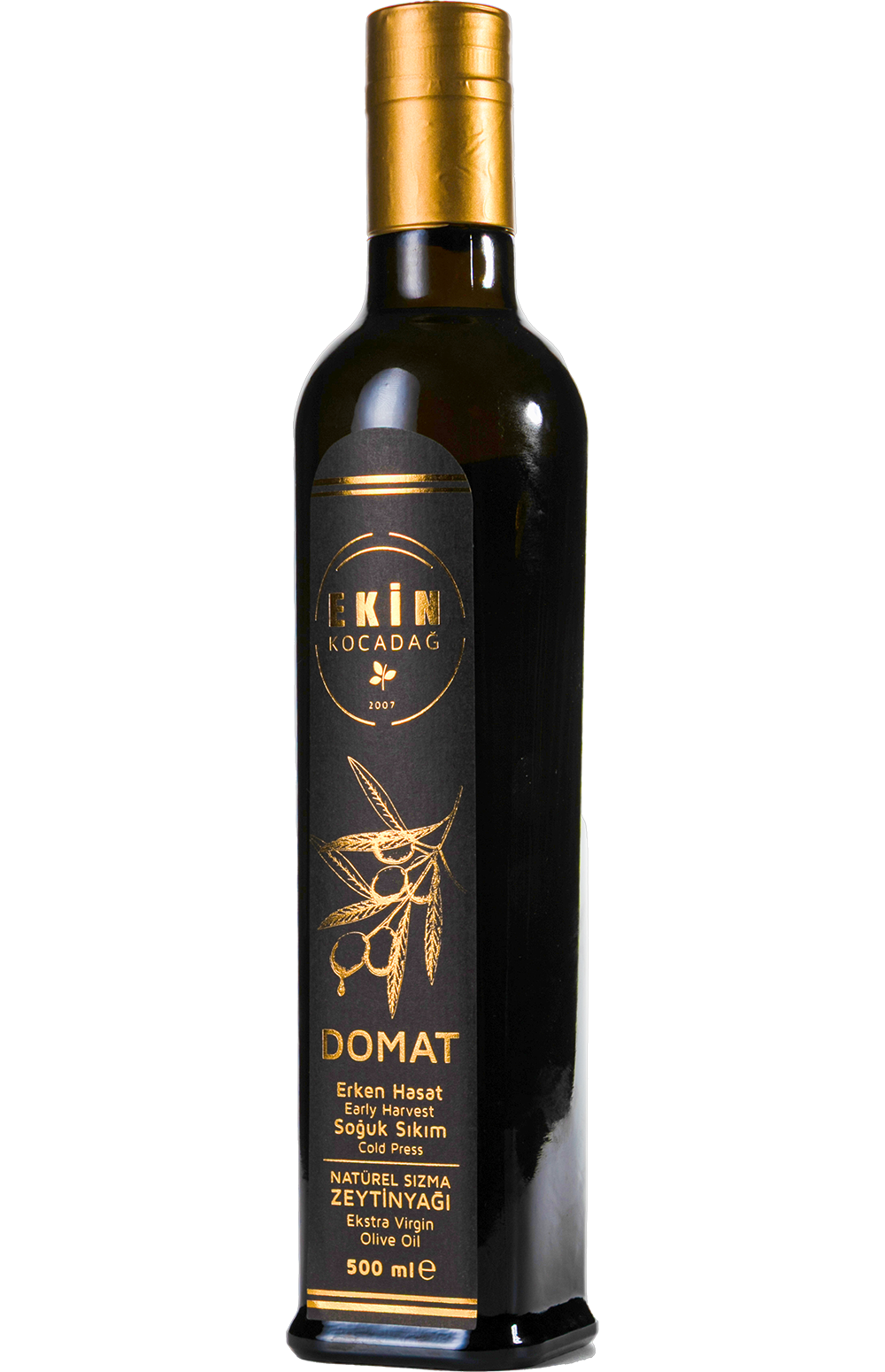 Ekin Kocadağ - Gold