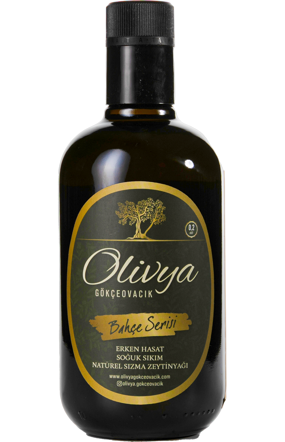 Gökçeovacık Ltd Şti - Silver